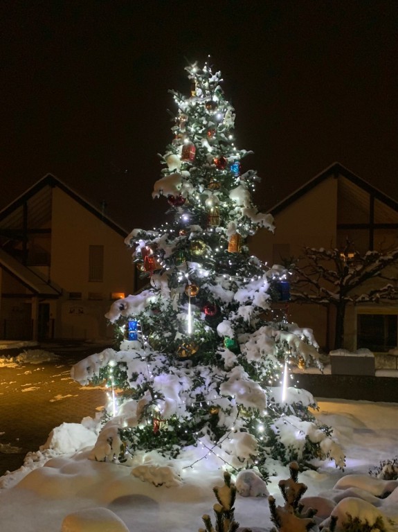Arbre-de-Noel_avec-neige