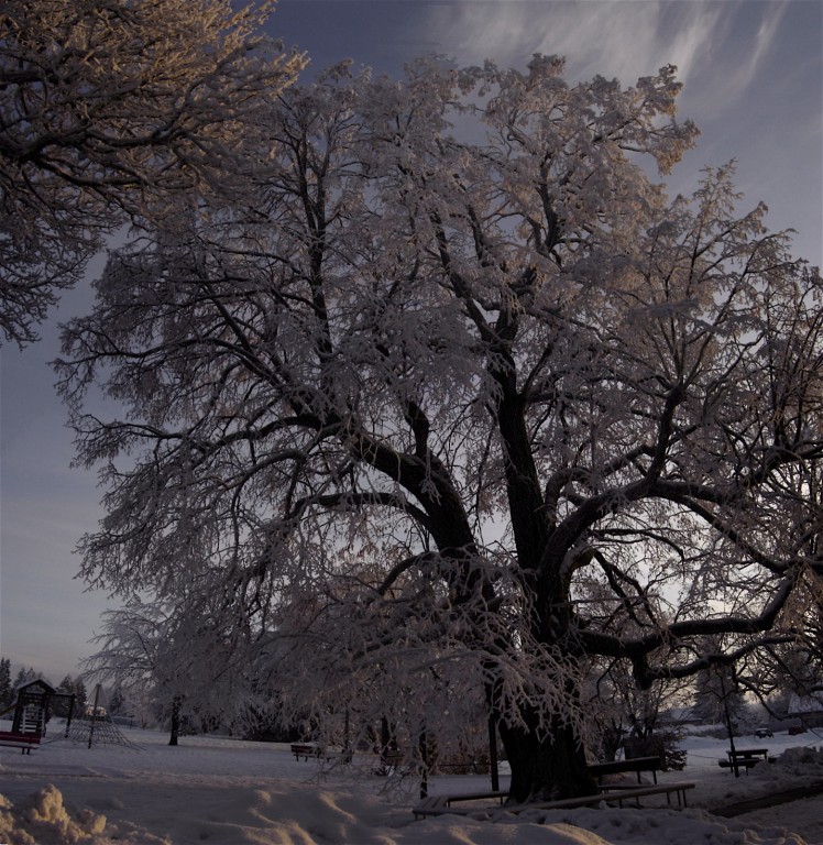 Hiver-20