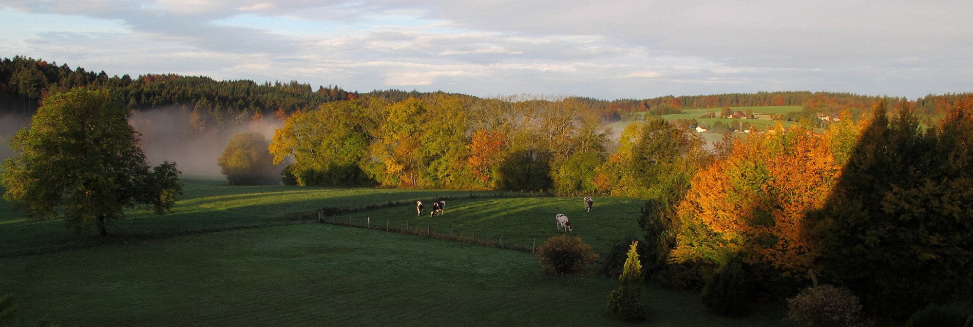 paysage-automne.jpg