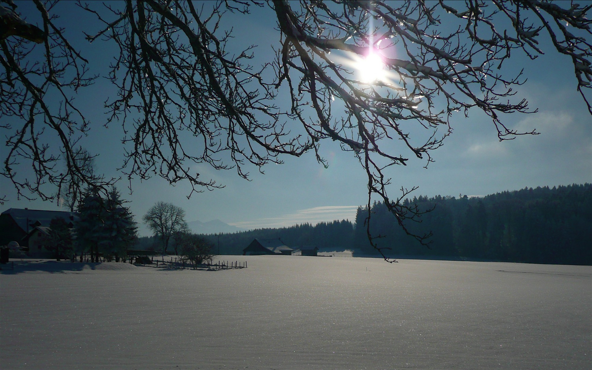 paysage-hiver.jpg